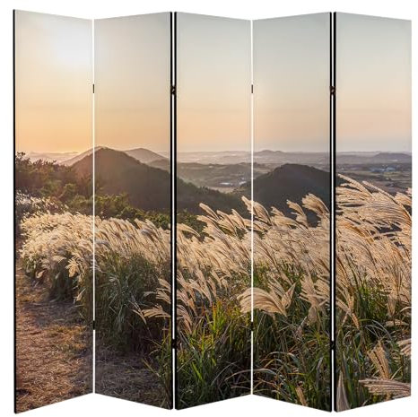 framed concept - Paravent Raumteiler Holz 225x172 cm, 5-teilig einseitig, Sichtschutzwand