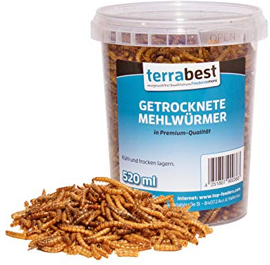 Terrabest 500ml getrocknete Mehlwürmer Premium Qualität Reptilienfutter, Fischfutter, Igelfutter, Nagerfutter, Vogelfutter, Wildvogelfutter