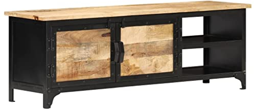 vidaXL Mangoholz Massiv TV Schrank mit 2 Stahltüren 2 Fachböden Lowboard TV Möbel Sideboard Fernsehtisch Fernsehschrank HiFi-Schrank 120x30x40cm