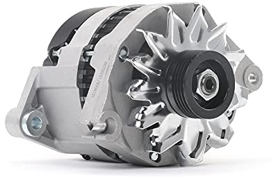 RIDEX 4G0974 Alternador Compatible con PEUGEOT 205 II 20A/C