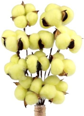 Larber 10 Stück Baumwoll Pflanze Deko Baumwolle Deko Zweige Baumwolle Trockenblumen Deko für Die Perfekte Hochzeit Blumen Arrangements Heim Decor DIY Home Party Dekoration(Gelb)