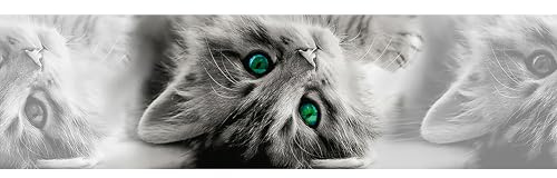 AG Design Selbstklebende Bordüre Katze, WB 8217 | Wasserfest Dekoration für Wände, Möbel, Tapeten, Wandverkleidungen und Türen, Folie, Mehrfarbig | Breite 500 cm x Höhe 13.8 cm