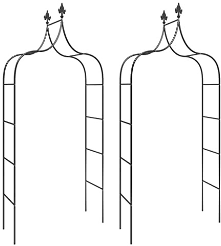 Lot de 2 arches de jardin en acier, noir, 120 x 38 x 260 cm | Revêtement par poudre, pointes décoratives, pour plantes grimpantes, instructions de montage incluses (français non garanti)