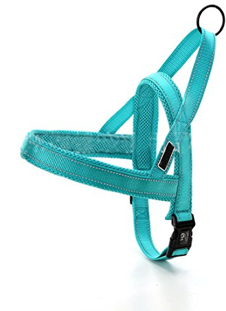 Hundegeschirr Mesh Welpengeschirr Nylon Norwegergeschirr Soft Vest Harness Brustgeschirre Reflektierende Sicherheitsgeschirr Brustgurt für Kleine, Mittlere und Große Hunde (S, grün-b)