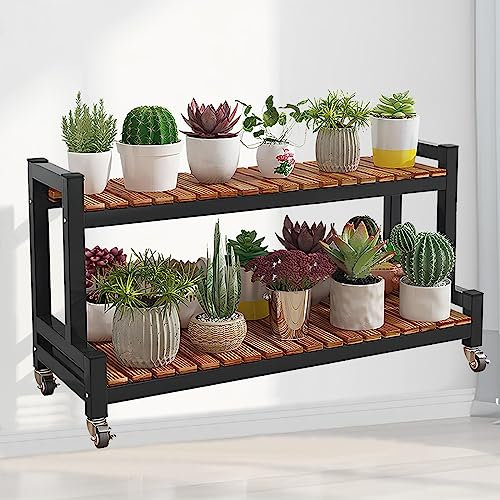 Pflanzenständer aus Metall mit 2/3 Ebenen für den Innenbereich, Blumenhalter, Leiterregal, Topf-Organizer, Regal, stilvolle Heimdekoration für Pflanzen