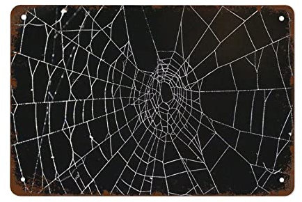Metall Blechschild Halloween Spinnennetz Tin Sign Lustige Metall Wandschild Mit Stanzung Torschild Für Garagen Club Partykeller 30x40cm