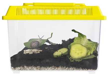 Schnecken-Beobachtungs-Set, 5-teilig – Vivarium mit Sammel-Lupendose Sprühflasche & Pipette | & Begleitheft | Schnecken beobachten, füttern & erforschen | Naturentdecker-Set inklusive Lernmaterialien