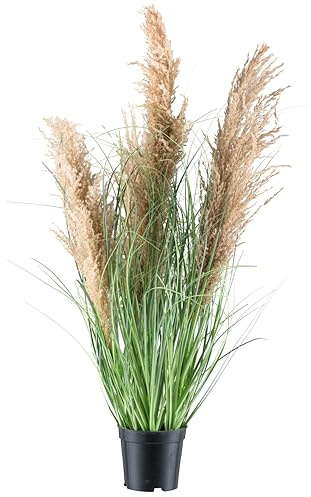 CREATIV green künstliches Natur-Schilfgras 75cm mit echten Wedeln I künstliches Schilfgras wie echt im Topf I dekoratives Pampasgras für Innen I hochwertige & dekorative Dekopflanze I Kunstpflanze