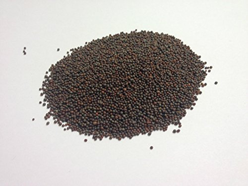 Brown/Black Whole Mustard Seeds A* Quality! Free UK P&P (200g)