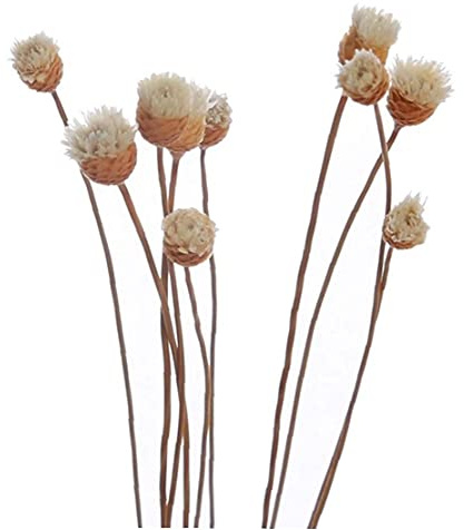 Ruluti 20 Pcs/Set Diffuseur Bâtons en Rotin Flower Bud Rose Remplacement Recharge Bâtons en Rotin pour Huile Essentielle Diffuseur pour La Maison Chambre À Coucher Salle De Bain