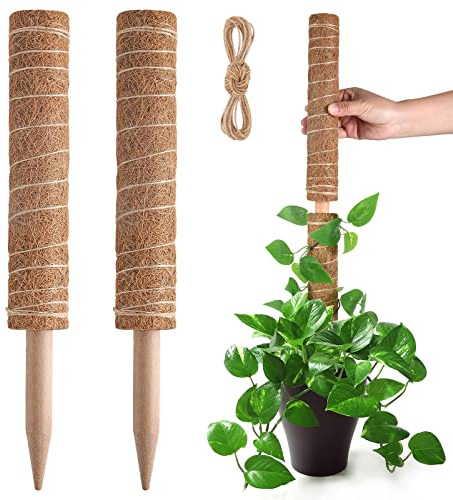 Pisol Moosstange für Pflanzen Monstera, ausziehbare Pflanzstäbe, Pflanzstäbe für Topfpflanzen, 39 cm, Kokosfaser-Stange, Pflanzen-Rankgitter für Sphagnum, Pothos und andere Kletterpflanzen (2 Stück)