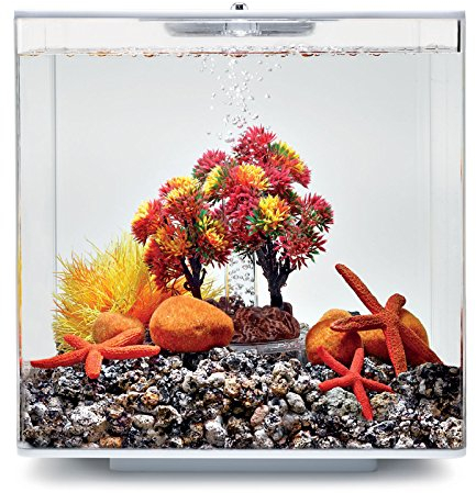 biOrb 55024 Decor Set 15L Herbst - herbstliches, farbenfrohes Aquarien-Dekor / geeignet für 15 l biOrb-Aquarien