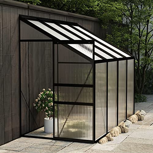 Accueil extérieur AutresSerre Anthracite Aluminium 5,02 m