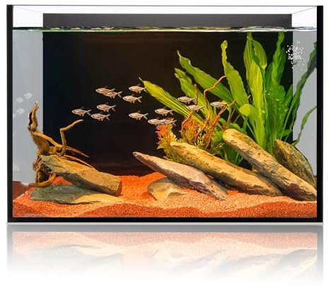 6 Gallon Glass Fish Tank 5 Gallon, Small Aquarium Fish Bowl Cube for Betta Goldfish Snails Shrimp Aquatic Planting, Easy to Maintain Ultra Clear Rimless Design Low Iron