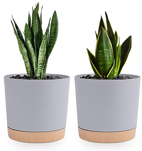 QCQHDU Bumentöpfe 2er Pack 16,5cm,Bumentöpfe für Zimmerpflanzen mit Entwässerungslöchern und abnehmbarem Boden,Untersetzer Modern Dekorativ für Garten Pflanzgefäße im Freien(Hellgrau 16,5cm