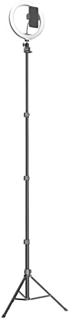 Luce da 10 pollici con supporto per telefono dimmerabile LED Ringlight per fotografia Selfie Video Trucco