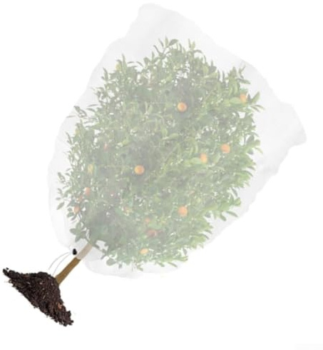 Red de pájaros para protección de jardín, red de jardín con cordón, cubierta protectora de tomate, red de plantas de jardín para cigarros, verduras, arbustos de arándanos (1,8 x 1,8 m)