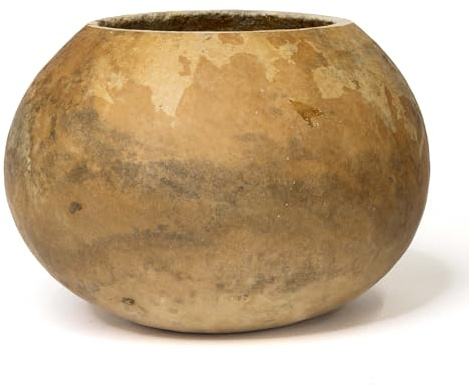 Meadowbrooke Gourds 6 Decorative Gourd Bowl for Crafting with Straight Cut Top