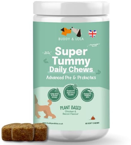 Buddy & Lola Probiotics For Dogs - Daily Dog Probiotic Chews For Digestive Health - Beneficial Prebiotics, Probiotics & Fibre For Better Gut, Firm Stools, Less itching - Plant Based Chews For Dogs