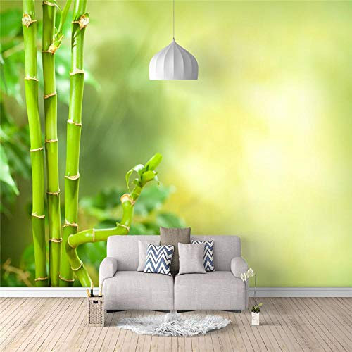 Fotomurales Bambú verde 300x200cm Decoración de Pared decorativos Murales moderna de Papel Pintado Sala Living Oficina Dormitorio