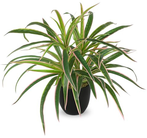 Oairse Planta artificial Bonnie de 33 cm en maceta, lirio verde artificial Chlorophytum, planta de araña falsa, decoración colgante para salón, balcón, dormitorio, baño, habitación, decoración de mesa