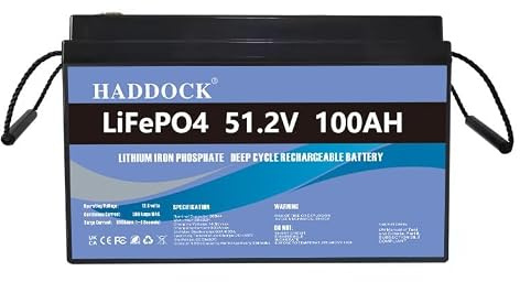 Batterie LiFePO4 de 48 V (51,2 V) 100 Ah, batterie au lithium fer phosphate, batterie de remplacement Deep AGM à cycle profond pour camping-cars, systèmes solaires, bateaux, etc.