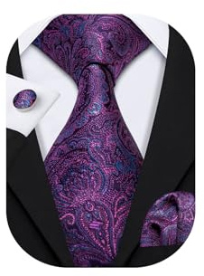 Barry.Wang Purple Paisley Ties for Men Silk Necktie Set Fashion Wedding Business