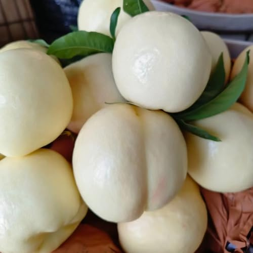semi di pesco a colonna - biologici da balcone giardino da esterno da resistenti 10pcs
