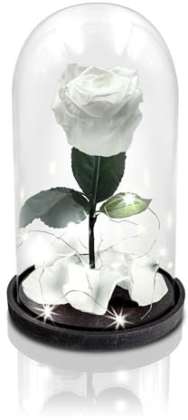 Aluisi Fiori - Rosa Stabilizzata Bianca - Base in Legno Nero con LED - Rosa Stabilizzata Vera in Campana di Vetro - Fiori Stabilizzati