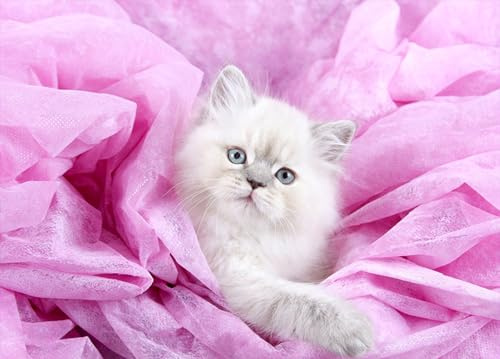OZLHSP kinderpuzzle 3D Puzzle 500 Teile Katzen Rosa Tiere 52x38cm