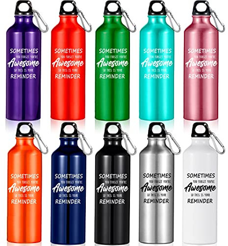 Sabary 10 Stück Dankeschön-Wasserflaschen, leichte Aluminium-Wasserflasche, wiederverwendbar, auslaufsicher, Sport-Wasserflasche mit Drehverschluss, Schnalle für Kollegen, Mitarbeiter, Reisen (750 ml)