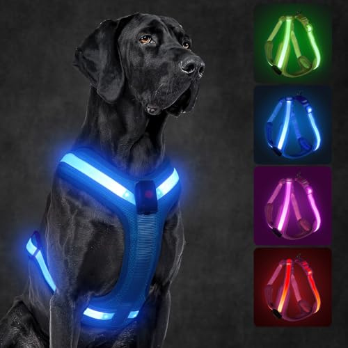 KOSKILL LED Hundegeschirr Wiederaufladbares Beleuchtetes Hundegeschirr Leuchtet Im Dunkeln LED Hundeweste Reflektierend Hundelichter für Nachtspaziergänge (Blau, XL)
