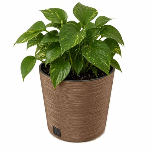 Gardening Naturally Fora Flowerpots, Stylish and Durable Plant Pots for Indoor and Outdoor Use (Round Pot 30cm - Natural)