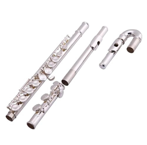 Pearl Flöte, gebogene Kopfstücke, geteilt, 16 Klappen, geschlossenes Loch, C-Stimmung, Neusilber, mit Etui