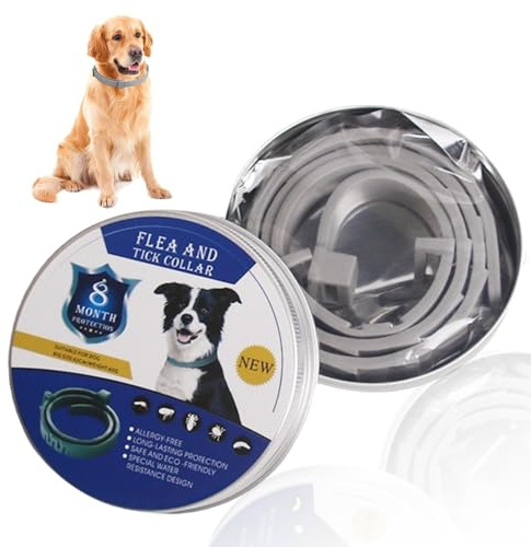 Repellent Adjustable Dog Collars, Soft Comfortable Lasting Waterproof Collar,Aluminum boxI with 8 Months Protection for Small/Medium/Large Dogs,It made of silica gel(Gray)