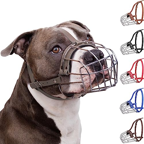 BronzeDog Maulkorb für Hunde aus Metall – Amstaff Drahtkorb mit verstellbaren Lederriemen für große Hunde