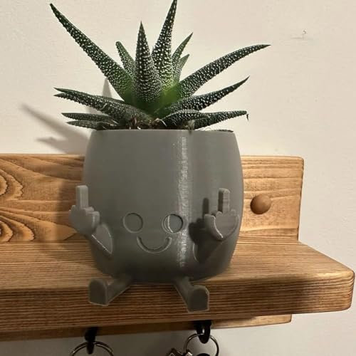 Vaso per piante sorridente con il dito medio alzat Vaso for piante sorridente con il dito medio alzato, vasi da fiori unici e carini for dito medio di piante grasse, fioriera novità for piccole piante