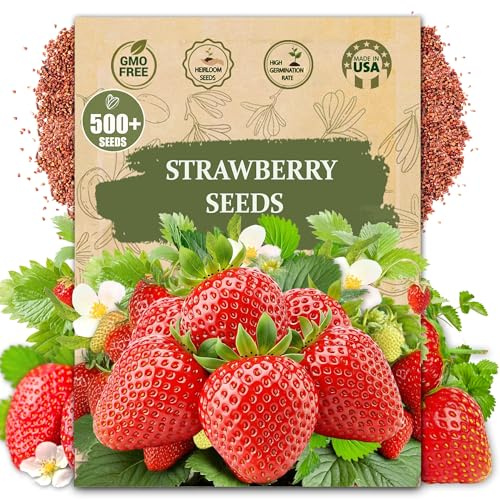 Rare Strawberry Seeds for Planting - 500 Fragaria × Ananassa Non-GMO Heirloom Seeds - Extra Big, Juicy, Sweet Strawberries