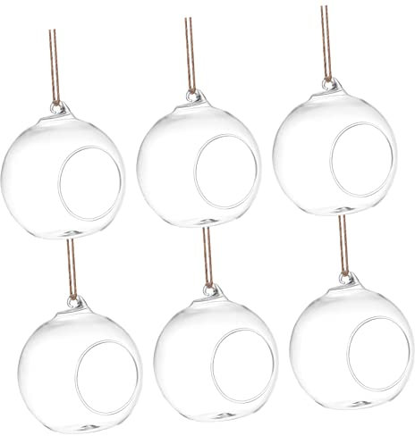 BESTonZON 6 Piezas Jarrón De Terrarios Colgantes De Vidrio para Plantas Suculentas Decoración Hogar Terrario Colgante De Soporte