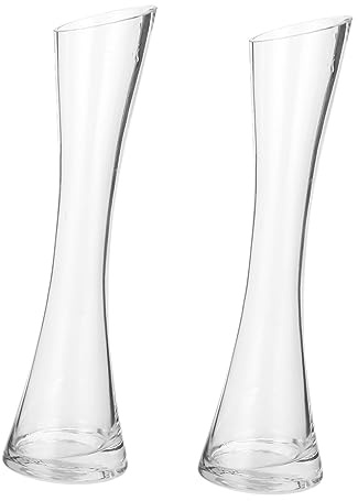 Healifty Vase en Verre Unique 2 Pièces, Design Créatif en Verre Transparent, Décoration De Fleur Et Table, Maison, Mariage Et Fête