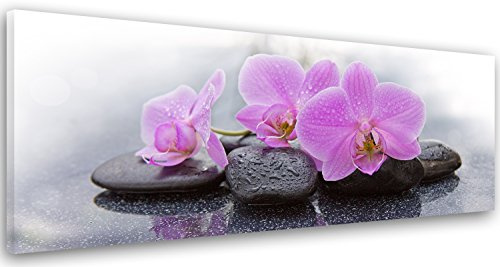 Feeby Impression sur toile Zen 100x40 cm 1 partie Tableaux Tableau Mural Image Photo Moderne Décoration Murale Artistique Photographie Design Cuisine Salon Chambre à coucher Orchidée Rose