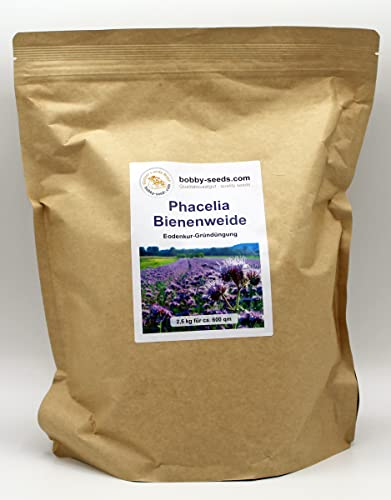 Bodenkur Phacelia Bienenfreund - einjährige Gründüngung und Bienenweide 2,5 KG