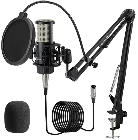 ALABS XLR Condenser Microphone, Professional Cardioid Recording Microphone Kit with 25mm Diaphragm for Streaming, Podcasting, Singing, Vocal, Studio Mic with Boom Arm, Shock Mount, Pop Filter (AC22)