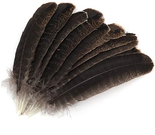 MWOOT 10 stück Truthahn Federn, 20-30cm/ 8-12 Zoll Länge Fasan Schwanzfedern, Hutfeder für Kostüme, basteln, Zuhause Dekor, DIY