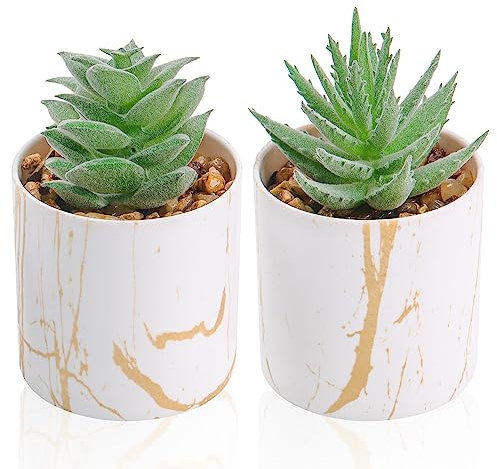 Der Rose Set of 2 Succulents Plants Artificial Mini Fake Succulents Plants for Home Office Desk Accessories for Women