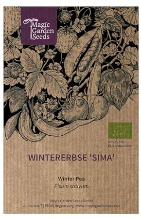 Pois d'hiver 'Sima' (Pisum sativum) env. 50 graines bio variété rare culture d'hiver