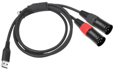 LeeQinersw Cavo da USB 2 XLR da USB a 2 Cavi Maschi XLR Cavo Amplificatore a 3 Pin Cavo Splitter XLR y per l'attrezzatura Audio Professionale TV, 1m