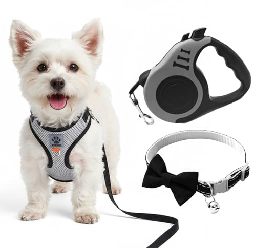 Pettorina per Gatto, con Corda a Trazione Telescopica Automatica da 5 m, Imbracatura Regolabile con Riflettore, Collana con Ciondolo Anti-Smarrimento Kit per Gattini, Cani di Piccola Taglia, Chihuahua