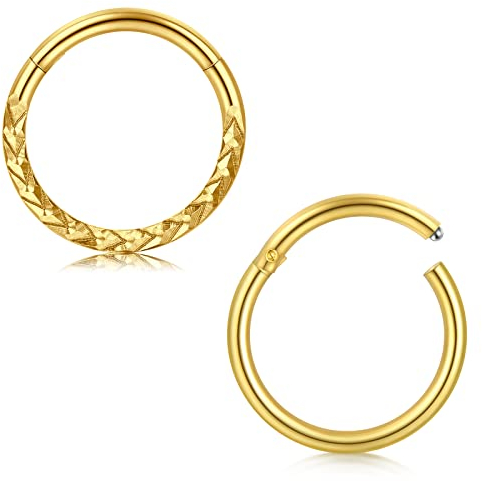 Briana Williams 2stk Piercing Helix Ring Chirurgenstahl 1.2mm Nasenpiercing Ring Dünn Nasenring 8mm Septum Clicker Segmentring Ohrring