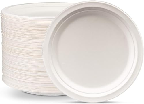 Avilia Set 100 Piatti Monouso Biodegradabili | Piatti di carta | Piatti biodegradabili | Piatti usa e getta | Piatti carta usa e getta | Piatti di carta fondi - piani - frutta (Piatti Piani Ø23cm)
